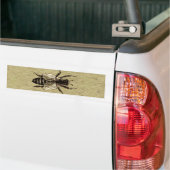 Queen Bee Wildlife Bug Insect Bumper Sticker (On Truck)