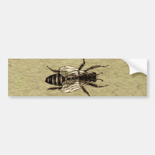 Queen Bee Wildlife Bug Insect Bumper Sticker