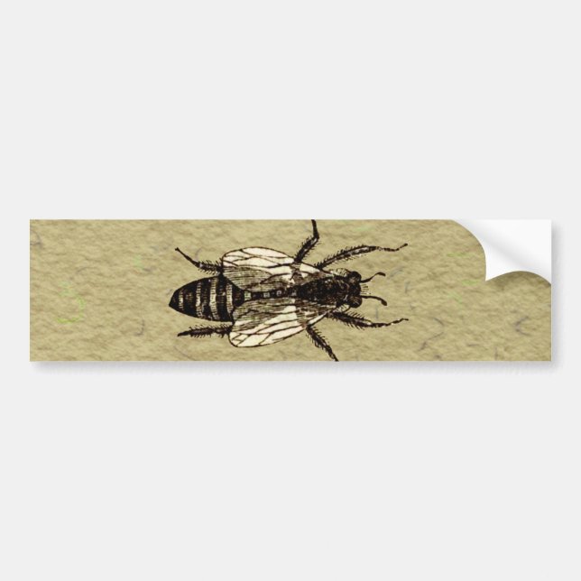 Queen Bee Wildlife Bug Insect Bumper Sticker (Front)