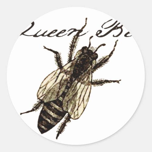 Queen Bee Wildlife Bug Insect Classic Round Sticker