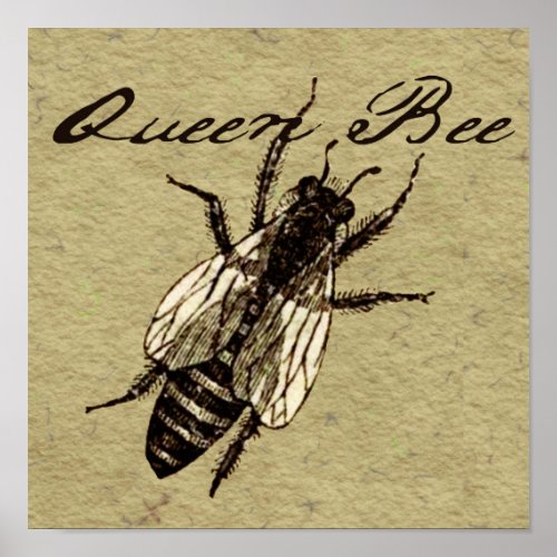 Queen Bee Wildlife Bug Insect Poster