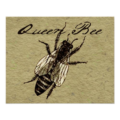 Queen Bee Wildlife Bug Insect Poster