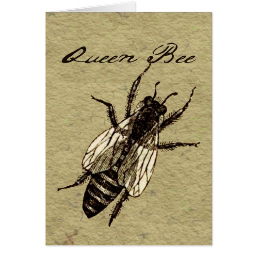 Queen Bee Wildlife Flying Bug Insect Cards (Front)
