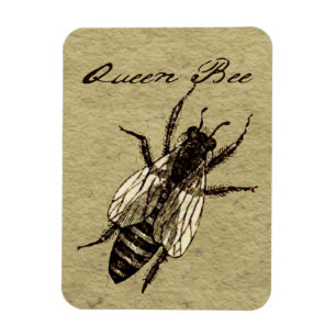 Queen Bee Wildlife Flying Bug Insect Magnet