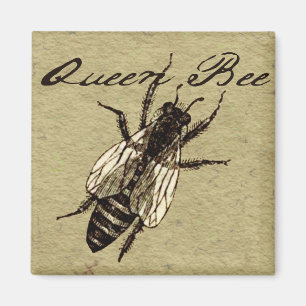 Queen Bee Wildlife Flying Bug Insect Magnet