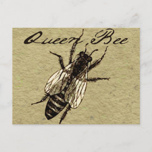 Queen Bee Wildlife Flying Bug Insect Postcard