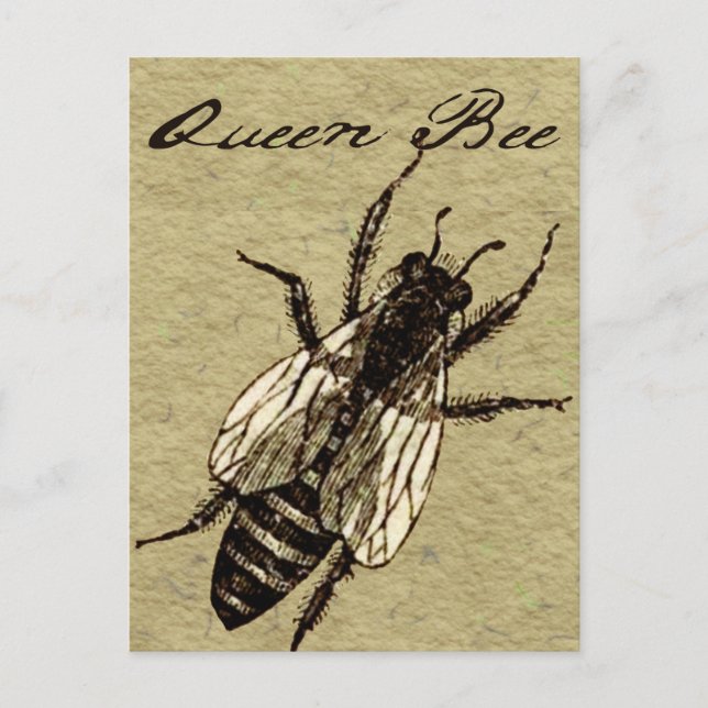 Queen Bee Wildlife Flying Bug Insect Postcard (Front)
