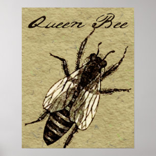 Queen Bee Wildlife Flying Bug Insect Poster