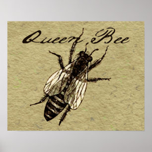 Queen Bee Wildlife Flying Bug Insect Poster