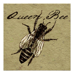 Queen Bee Wildlife Flying Bug Insect Poster