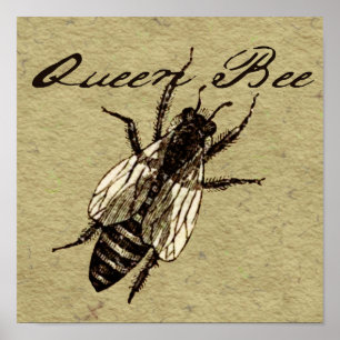 Queen Bee Wildlife Flying Bug Insect Poster