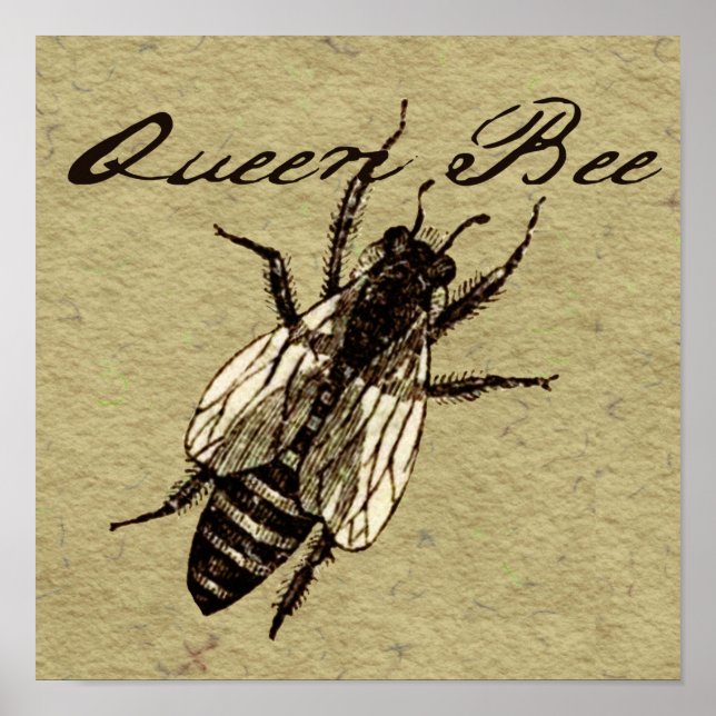 Queen Bee Wildlife Flying Bug Insect Poster (Front)