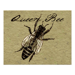 Queen Bee Wildlife Flying Bug Insect Poster