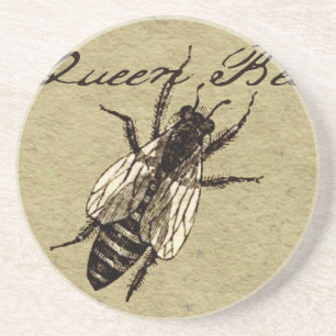 Queen Bee Wildlife Flying Bug Insect Sandstone Coaster