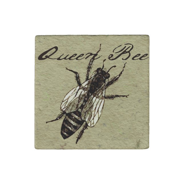 Queen Bee Wildlife Flying Bug Insect Stone Magnet (First Magnet)