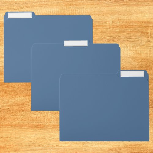 Queen Blue Solid Color File Folder