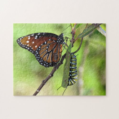 Queen Butterfly and Monarch Caterpillar Jigsaw Puzzle