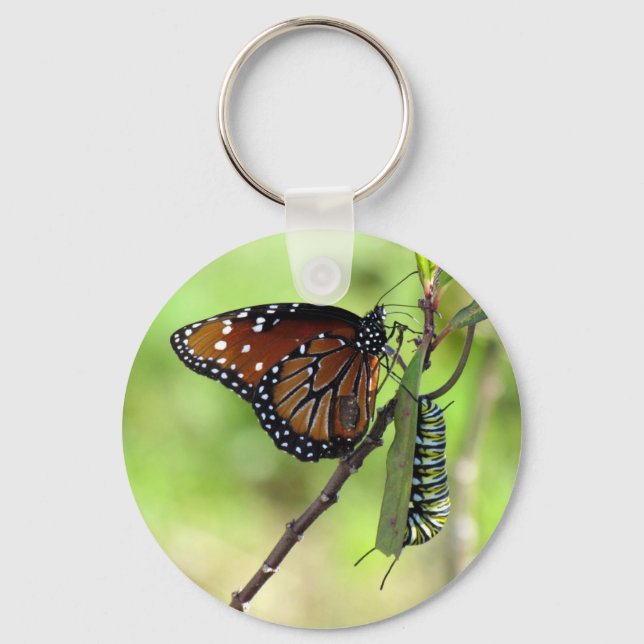 Queen Butterfly and Monarch Caterpillar - Keychain (Front)