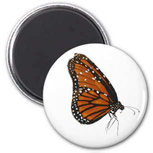 Queen butterfly button magnet