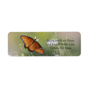 Queen Butterfly in Morning light Label