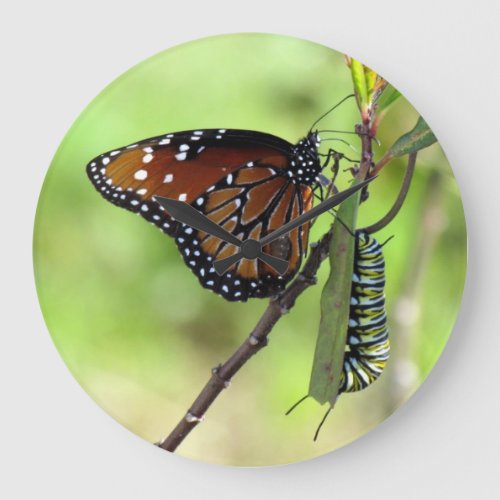 Queen Butterfly  Monarch Caterpillar _ Wall Clock