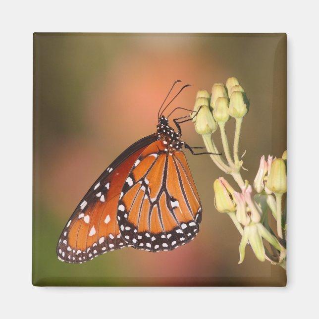 Queen butterfly on a branch magnet (Front)