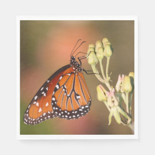Queen butterfly on a branch napkins