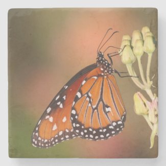 Queen butterfly on a branch stone coaster