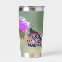 Queen Butterfly on a Purple Blessed Milkthistle