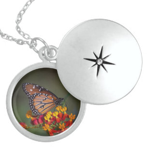 Queen Butterfly on tropical milkweed Locket Necklace