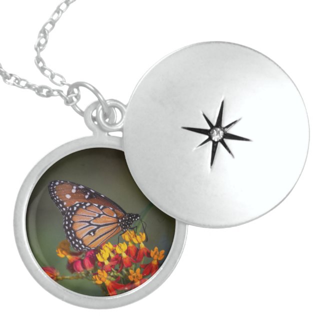 Queen Butterfly on tropical milkweed Locket Necklace (Front)