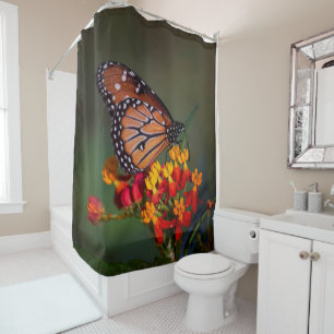 Queen Butterfly on tropical milkweed Shower Curtain