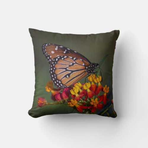 Queen Butterfly  on tropical milkweed Throw Pillow