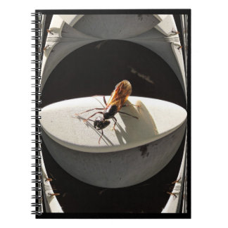 Queen Carpenter Ant ~ Notebook