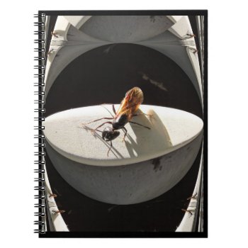 Queen Carpenter Ant ~ Notebook by Andy2302 at Zazzle