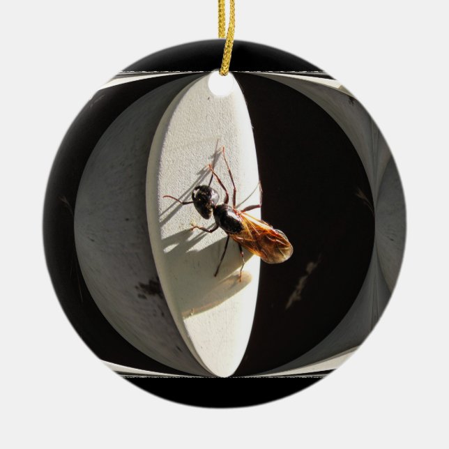 Queen Carpenter Ant ~ ornament (Front)