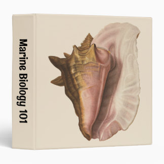 Queen Conch Seashell Shell, Vintage Marine Life 3 Ring Binder