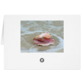 Queen Conch Shell on Bahamas Beach (Back Horizontal)