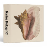 Queen Conch Shell Seashell, Vintage Marine Life 3 Ring Binder