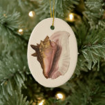 Queen Conch Shell Seashell, Vintage Marine Life Ceramic Ornament