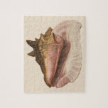 Queen Conch Shell Seashell, Vintage Marine Life Jigsaw Puzzle