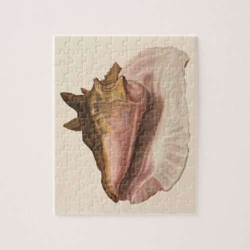 Queen Conch Shell Seashell Vintage Marine Life Jigsaw Puzzle