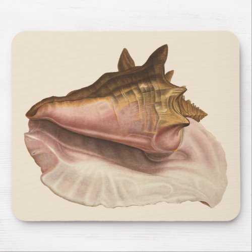 Queen Conch Shell Seashell Vintage Marine Life Mouse Pad