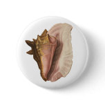 Queen Conch Shell Seashell, Vintage Marine Life Pinback Button