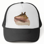 Queen Conch Shell Seashell, Vintage Marine Life Trucker Hat