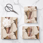 Queen Conch Shell Seashell, Vintage Marine Life Wrapping Paper Sheets