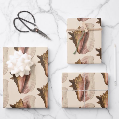 Queen Conch Shell Seashell Vintage Marine Life Wrapping Paper Sheets