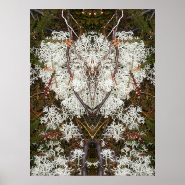 Queen Elizabeth 1st Lichen Poster (Front)