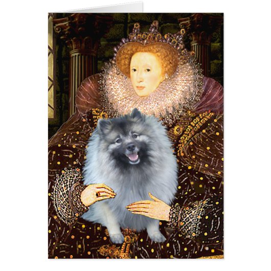 Queen Ellizabeth I - Keeshond (F) (Front)
