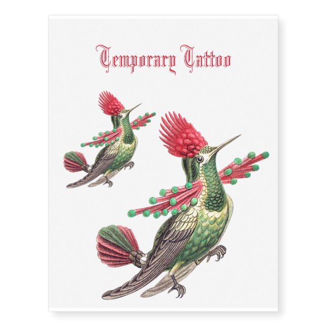 Queen hummingbird temporary tattoos (Front)